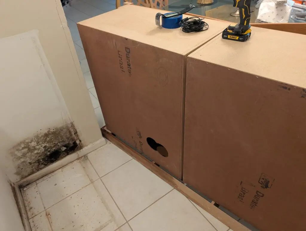 mold growth baseboard cabinet damage palm beach county mold remediation