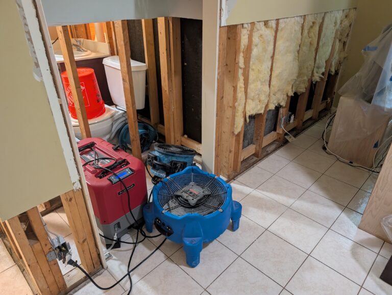 mold remediation equipment air mover dehumidifier palm beach county