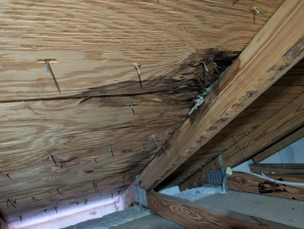 Roof decking water damage and wood deterioration from a leak in a Palm Beach County attic