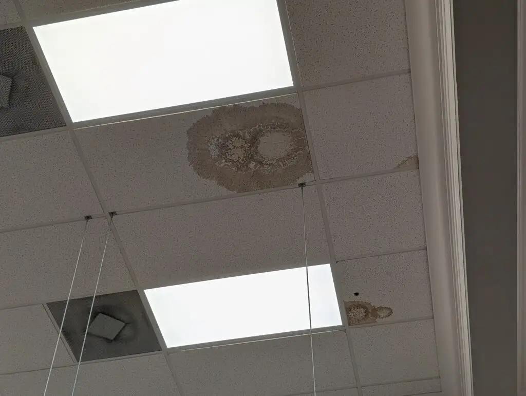 Water stain on ceiling tile from roof leak in Palm Beach County commercial property