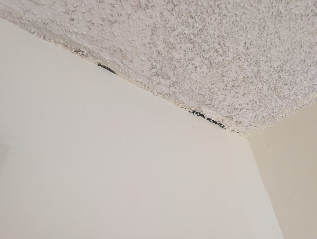 Mold growth on ceiling corner from water damage in Palm Beach County home