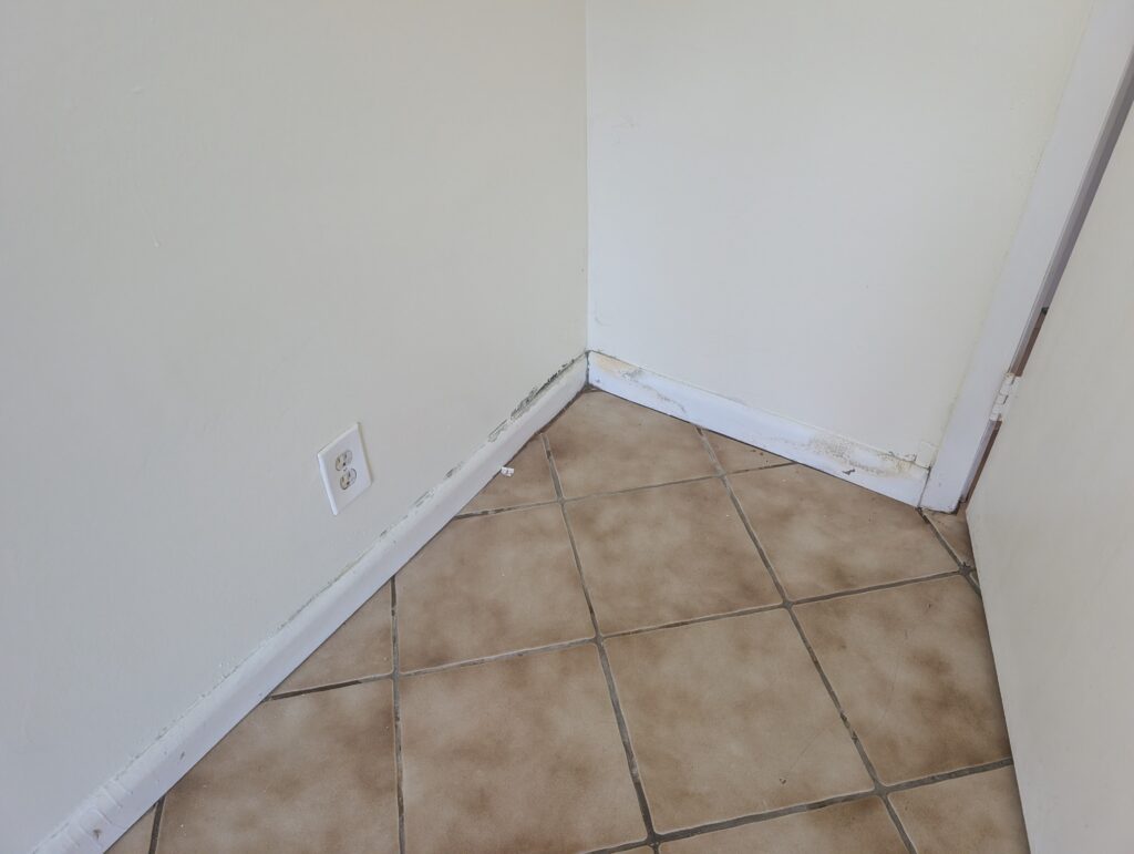 Water damage along baseboard and wall corner on tile floor in Palm Beach County home