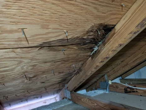 Roof decking water damage and wood deterioration from a leak in a Palm Beach County attic
